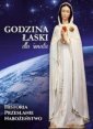 okładka książki - Godzina Łaski dla świata