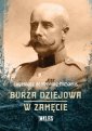 okładka książki - Burza dziejowa. W zamęcie