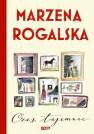 okładka książki - Czas tajemnic.. Saga o Karli Linde