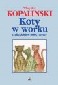 okładka książki - Koty w worku czyli z dziejów pojęć