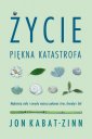 okładka książki - Życie, piękna katastrofa