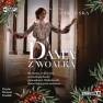 pudełko audiobooku - Dama z woalką (CD mp3)