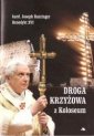 okładka książki - Droga krzyżowa z Koloseum