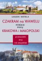 okładka książki - Czakram na Wawelu. Miejsca mocy