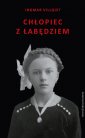 okładka książki - Chłopiec z łabędziem