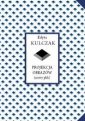 okładka książki - Projekcja obrazów (nowy plik)