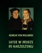 okładka książki - Luter w drodze do narzeczonej