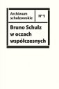 okładka książki - Bruno Schulz w oczach współczesnych.