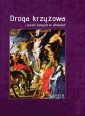 okładka książki - Droga krzyżowa i pieśni pasyjne