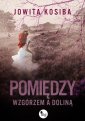 okładka książki - Pomiędzy wzgórzem a doliną