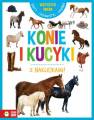 okładka książki - Wszystko wiem! Konie i kucyki