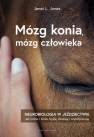 okładka książki - Mózg konia, mózg człowieka. Neurobiologia