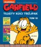 okładka książki - Garfield. Tłusty koci trójpak.