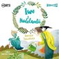 pudełko audiobooku - Iwo z Nudolandii (CD mp3)