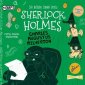 pudełko audiobooku - Sherlock Holmes. Tom 15 (audiobook)