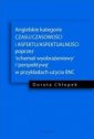 okładka książki - Angielskie kategorie CZASU/CZASOWOŚCI