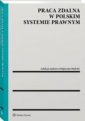 okładka książki - Praca zdalna w polskim systemie