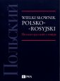 okładka książki - Wielki słownik polsko-rosyjski