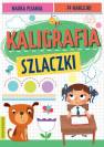 okładka książki - Kaligrafia szlaczki