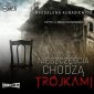 pudełko audiobooku - Nieszczęścia chodzą trójkami (CD