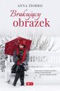 okładka książki - Brakujący obrazek