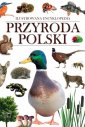 okładka książki - Przyroda polski. Ilustrowana encyklopedia