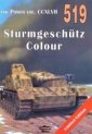 okładka książki - Strumgeschutz Colour Tank Power