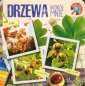 okładka książki - Rosnę i odkrywam. Drzewa wokół