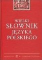 okładka książki - Wielki słownik języka polskiego