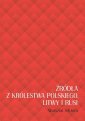 okładka książki - Źródła z Królestwa Polskiego, Litwy