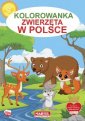 okładka książki - Kolorowanka Zwierzęta w Polsce