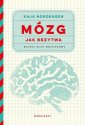 okładka książki - Mózg jak brzytwa. Roczny plan treningowy