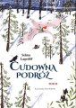 okładka książki - Cudowna podróż. Tom 2