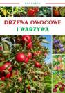 okładka książki - Drzewa owocowe i warzywa. Mój ogród