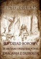 okładka książki - Jak Dziad Borowy ze zbójami urządzał