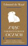 okładka książki - Zając o bursztynowych oczach. Historia