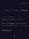 okładka książki - Streszczenie pieśni