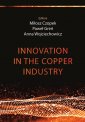 okładka książki - Innovation in the copper industry