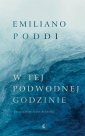 okładka książki - W tej podwodnej godzinie