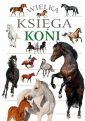 okładka książki - Wielka księga koni