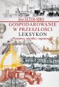 okładka książki - Gospodarowanie w przeszłości