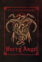 okładka książki - Harry Angel