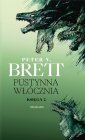 okładka książki - Pustynna włócznia. Księga 2