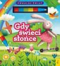 okładka książki - Flamaster wodny Gdy świeci słońce