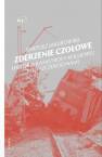 okładka książki - Zderzenie czołowe. Historia katastrofy
