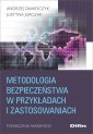 okładka książki - Metodologia bezpieczeństwa w przykładach