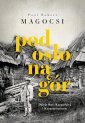 okładka książki - Pod osłoną gór. Dzieje Rusi Karpackiej