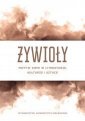 okładka książki - Żywioły. Motyw ziemi w literaturze,