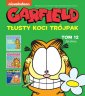 okładka książki - Garfield. Tłusty koci trójpak.