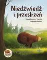 okładka książki - Niedźwiedź i przestrzeń